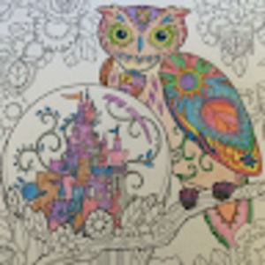 Meet your Posher, Steff